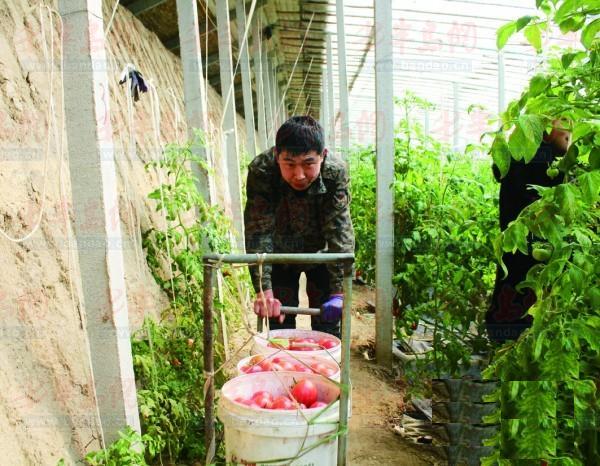 圖片關(guān)鍵詞 圖片關(guān)鍵詞