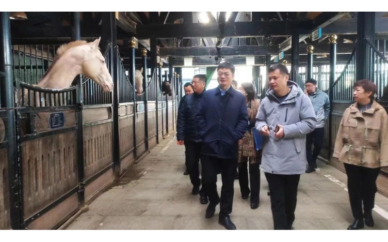 高雷副廳長(zhǎng)在野馬集團(tuán)調(diào)研時(shí)表示，要通過科技助力，精準(zhǔn)解決“卡脖子”問題