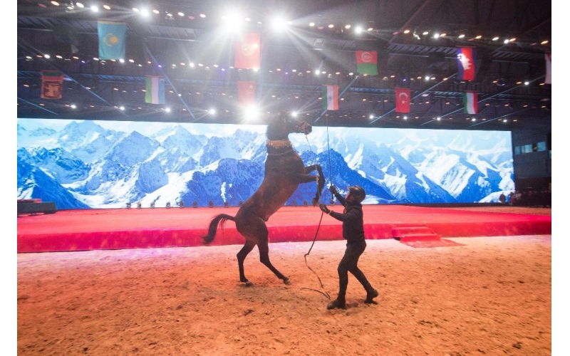 住馬酒店、吃馬肉腸、喝馬奶粉、品馬奶酒--