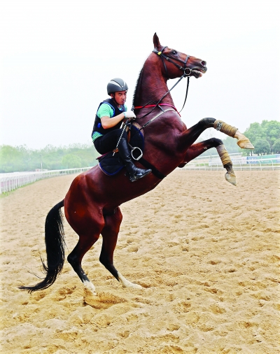 圖片關(guān)鍵詞 圖片關(guān)鍵詞